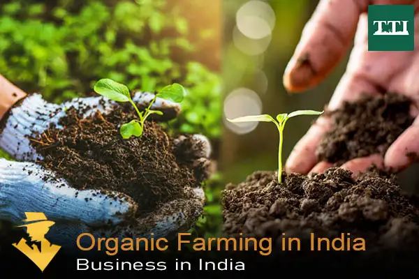 organic-farming-in-india-profitability-and-challenges