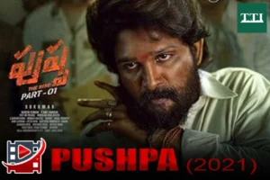 pushpa-the-rise-2021-allu-arjun-pan-india-hit