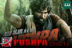 pushpa-the-rise-2021-allu-arjun-pan-india-success