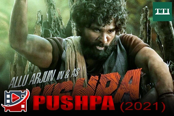 pushpa-the-rise-2021-allu-arjun-pan-india-success