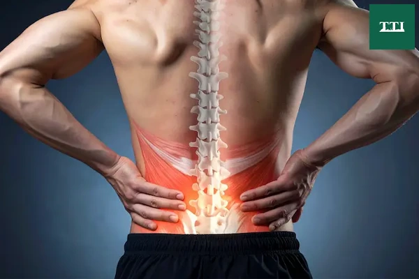 the-spines-turning-point-how-daily-habits-can-end-the-cycle-of-back-pain